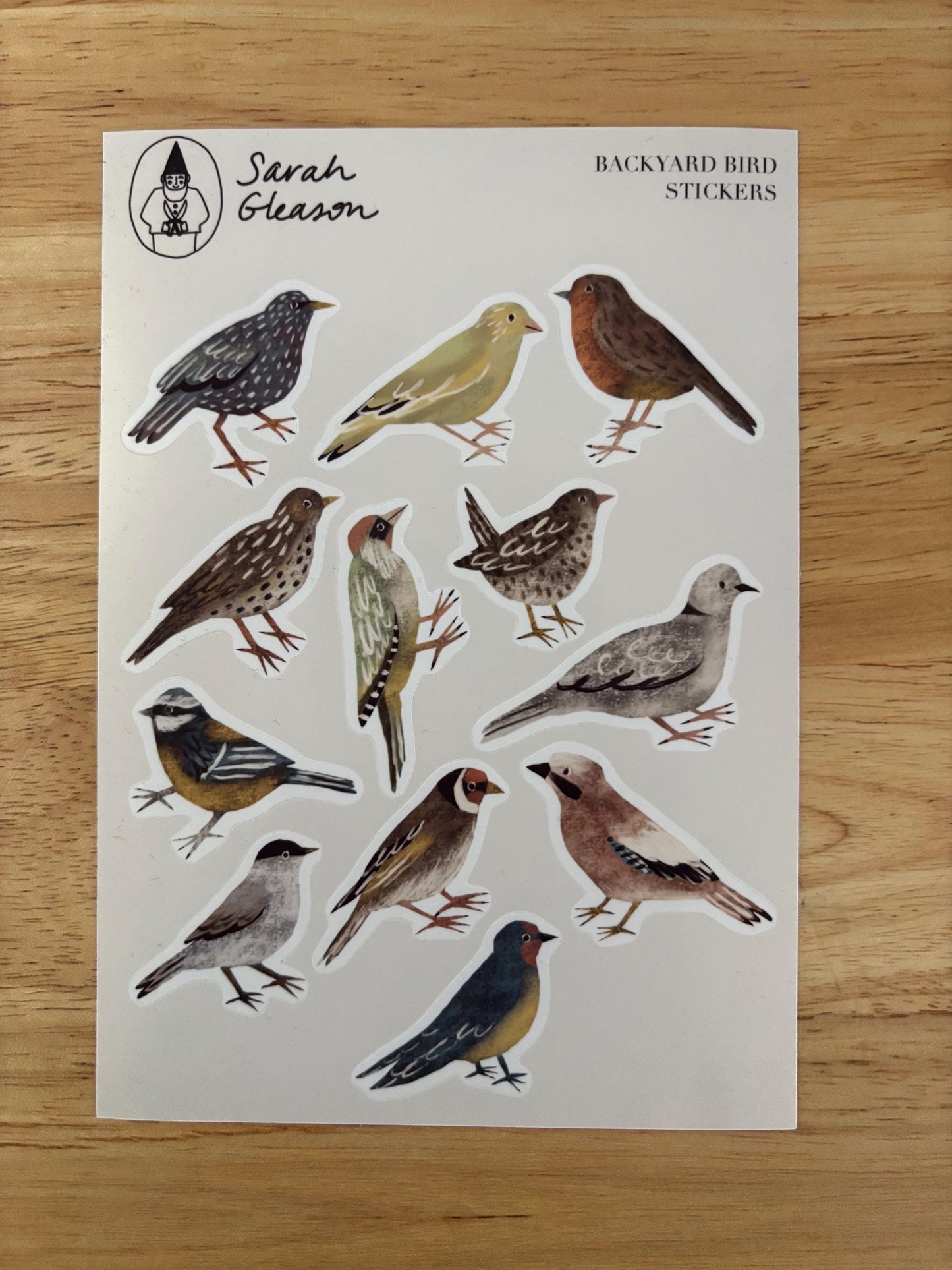Backyard Bird Hand-Drawn Journal Sticker Sheet – Cozy Planner Stickers, Bujo, Scrapbooking