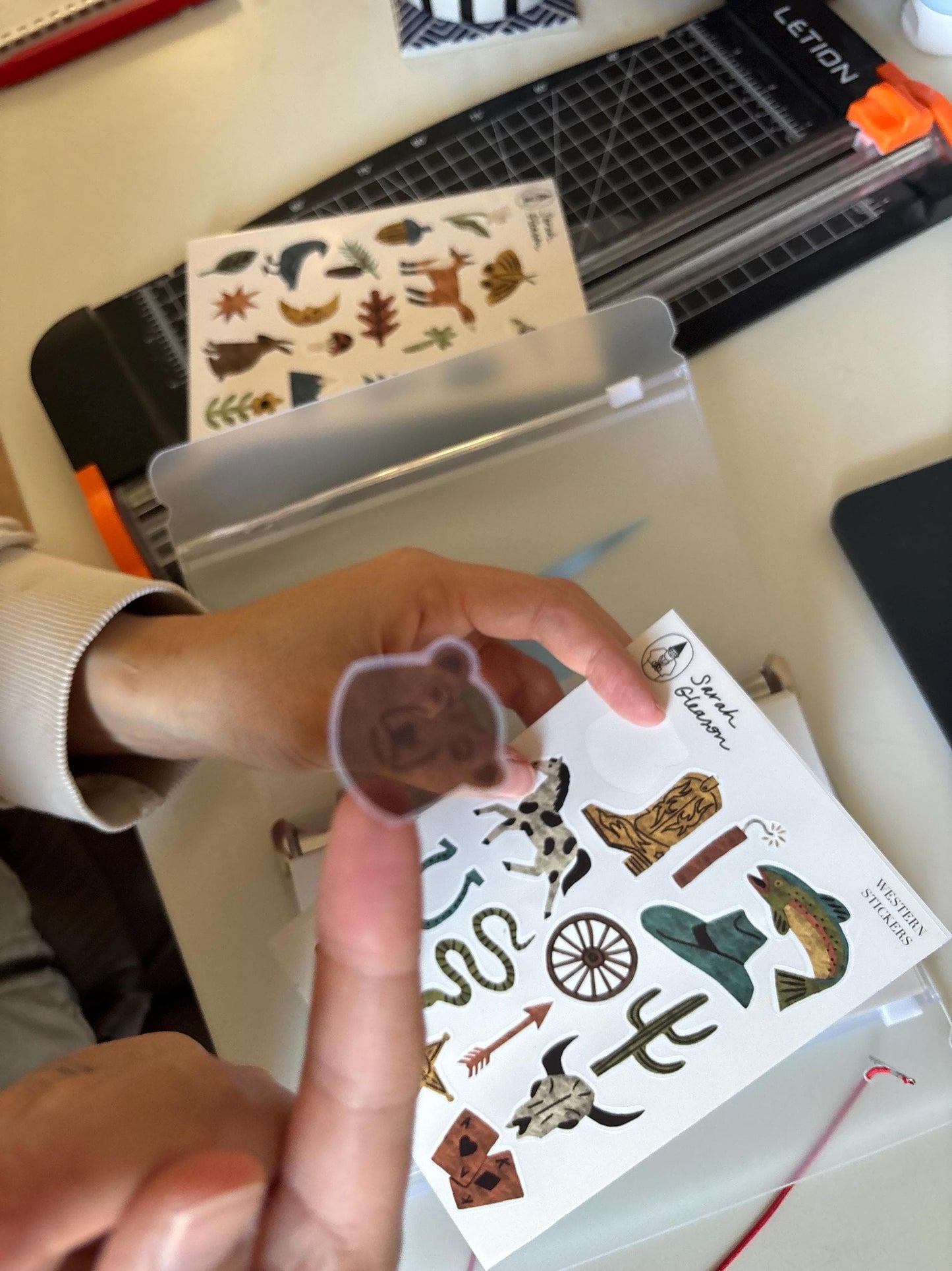 Wild West Hand-Drawn Journal Sticker Sheet – Cozy Planner Stickers, Bujo, Scrapbooking