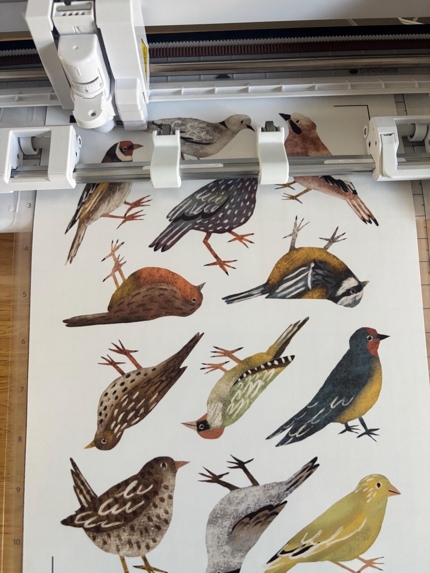 Backyard Bird Die Cut Stickers Vol. 1 | Set of 6 Hand Drawn Journal and Scrapbook Stickers