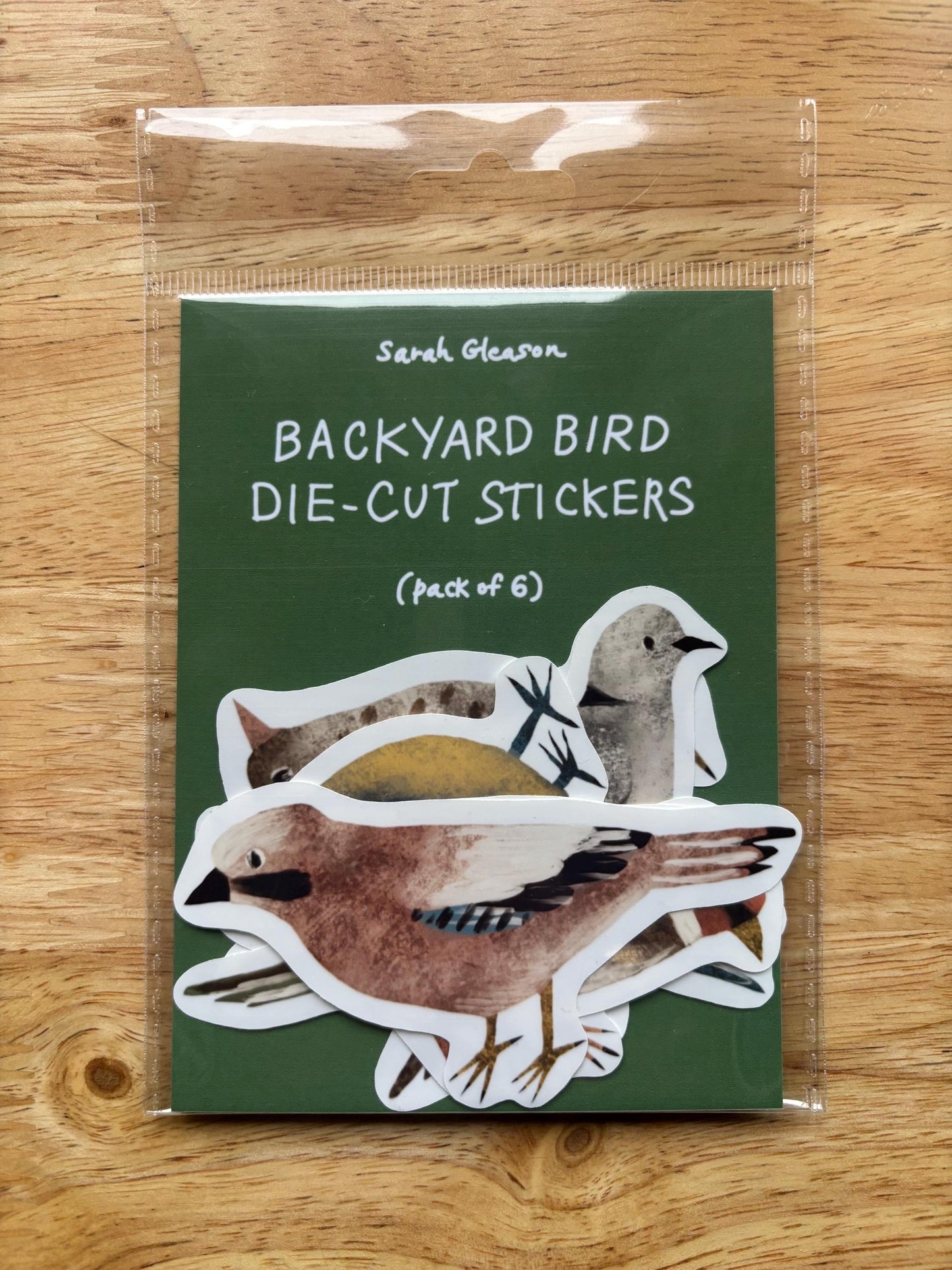 Backyard Bird Die Cut Stickers Vol. 1 | Set of 6 Hand Drawn Journal and Scrapbook Stickers