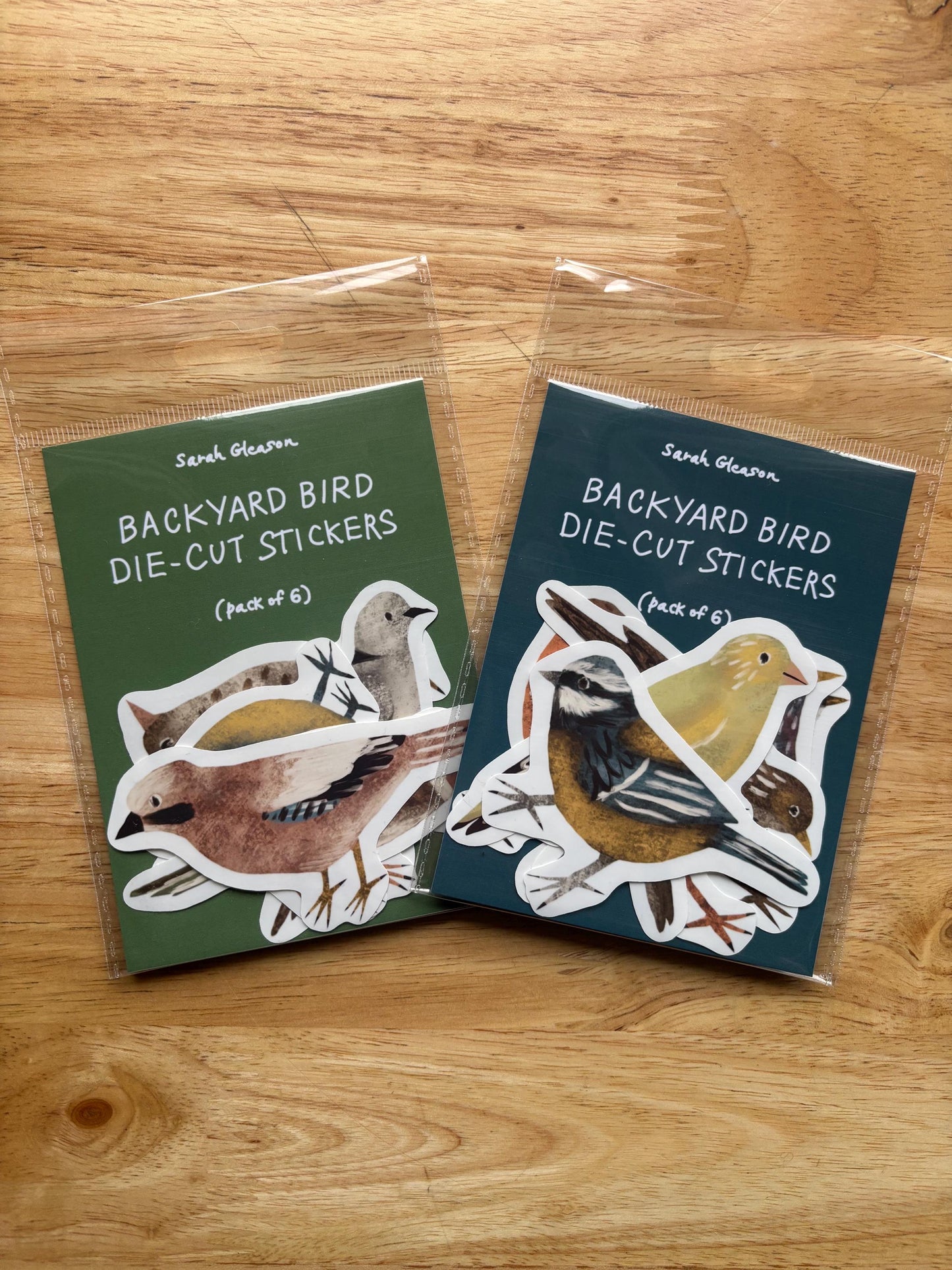 Backyard Bird Die Cut Stickers Vol. 2 | Set of 6 Hand Drawn Journal and Scrapbook Stickers
