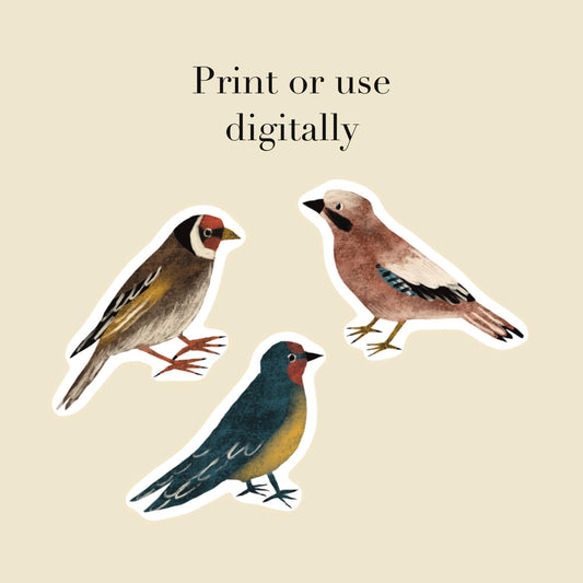 Birds Printable Sticker Sheet | Hand Drawn Journal and Scrapbook Stickers | PDF and PNG Download