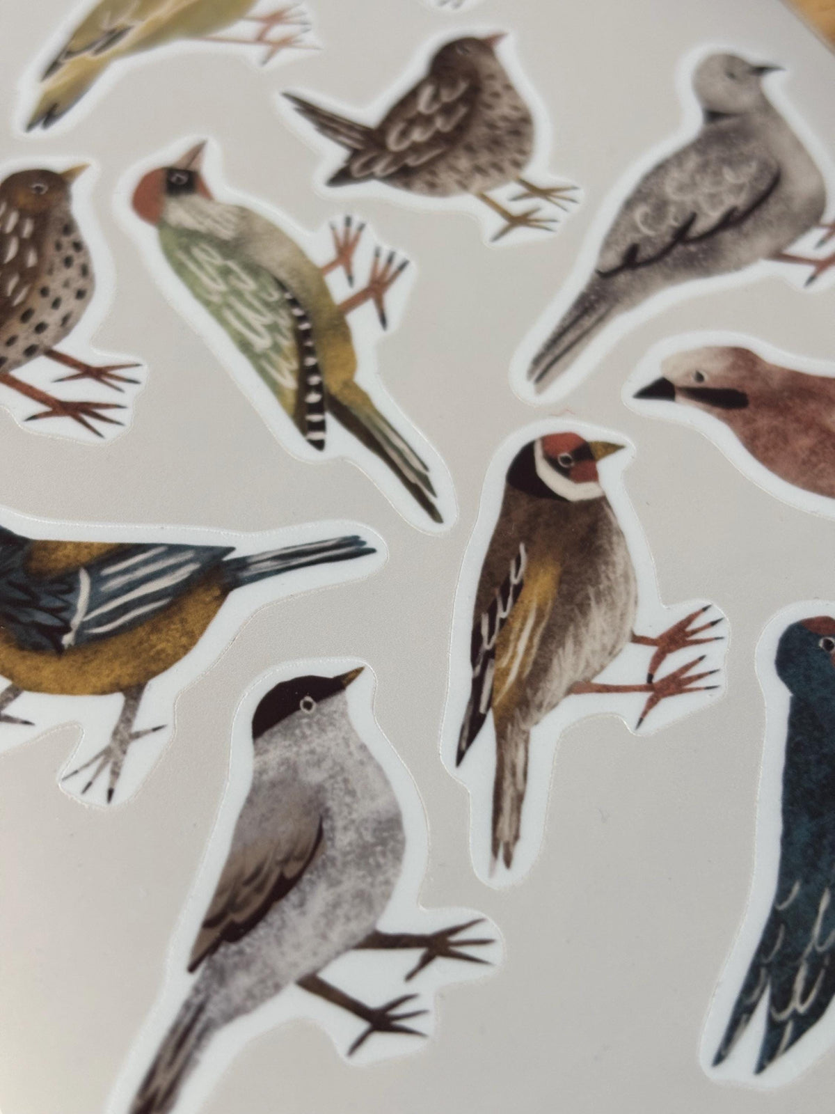 SS03 Backyard Bird Sticker Sheet