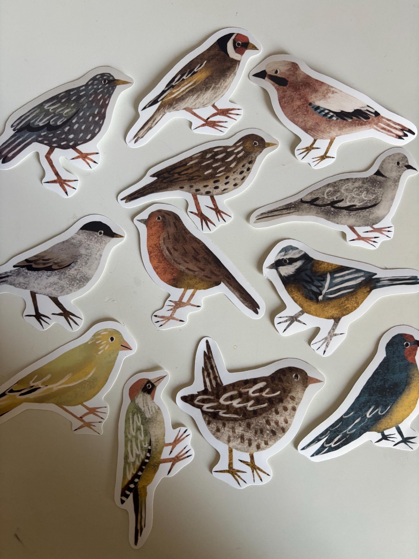 Backyard Birds Stickers PNG – Printable Sticker Sheet & Clipart Pack, Cozy Hand-Drawn Digital Download for Planners, Bujo, Scrapbooking