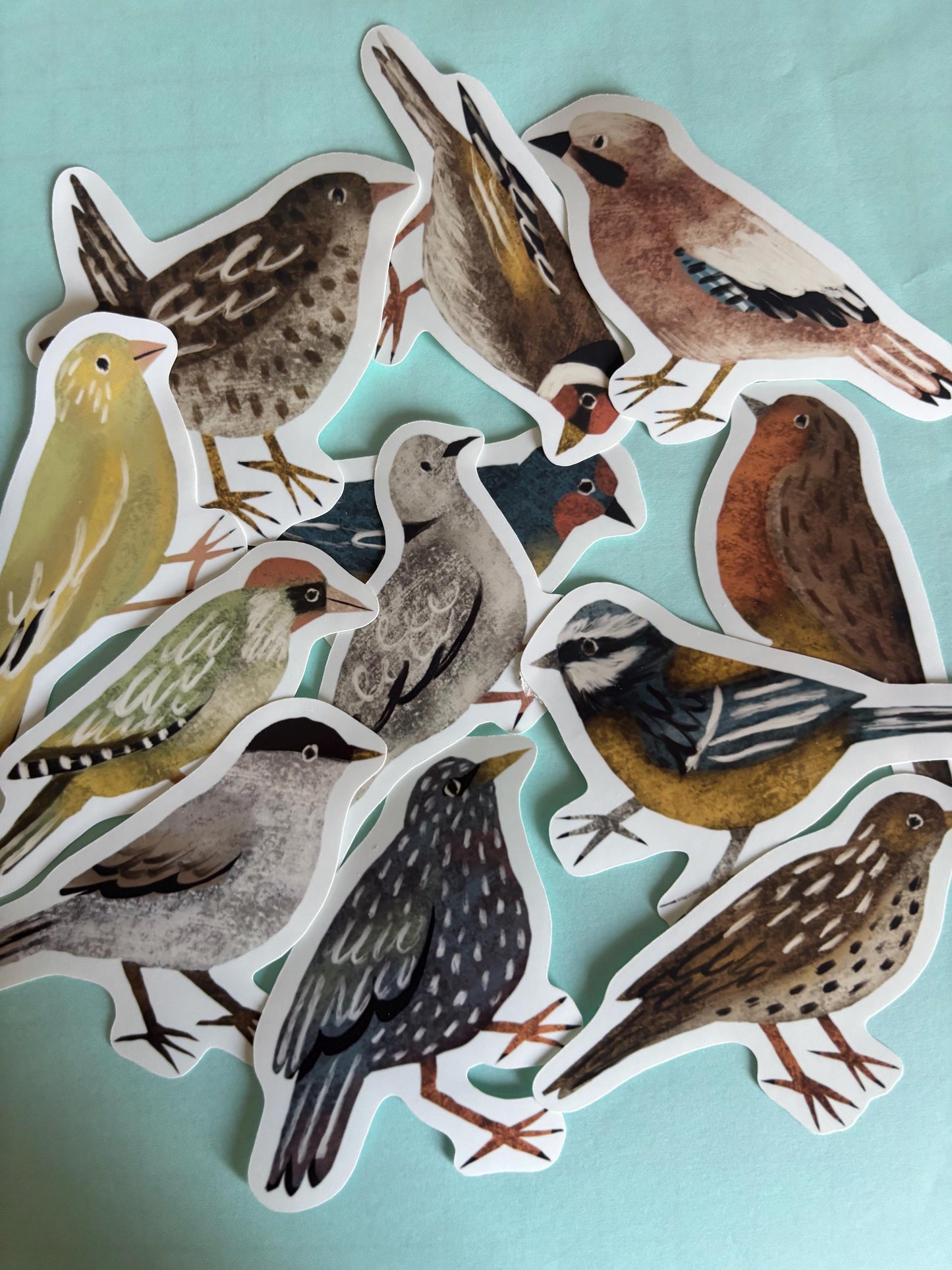 Backyard Birds Stickers PNG – Printable Sticker Sheet & Clipart Pack, Cozy Hand-Drawn Digital Download for Planners, Bujo, Scrapbooking