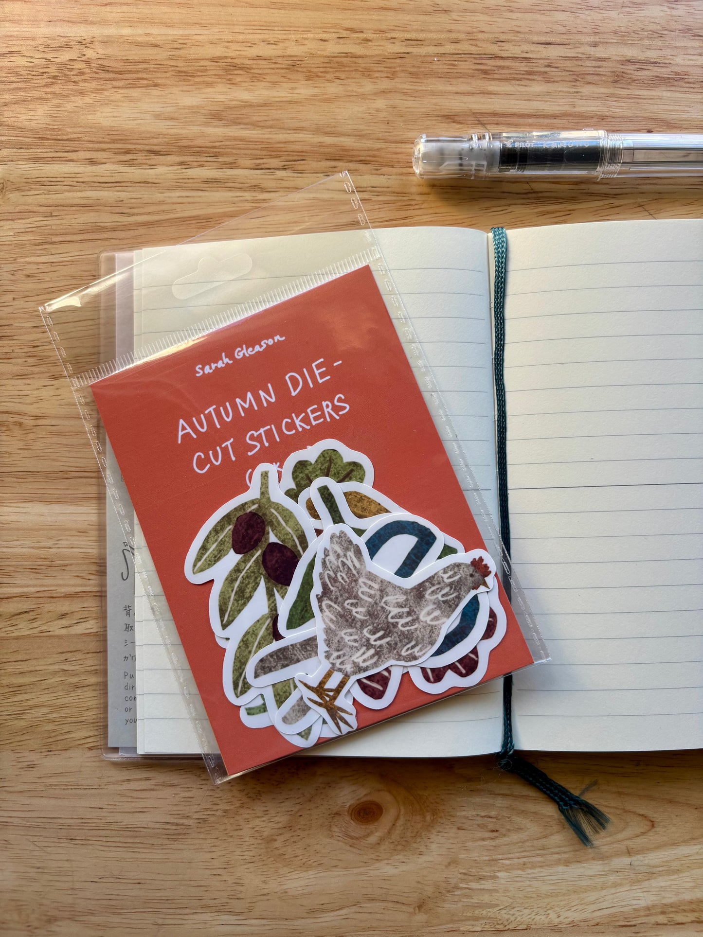 Autumn Die Cut Stickers | Set of 7 Hand Drawn Journal and Scrapbook Stickers (Large)