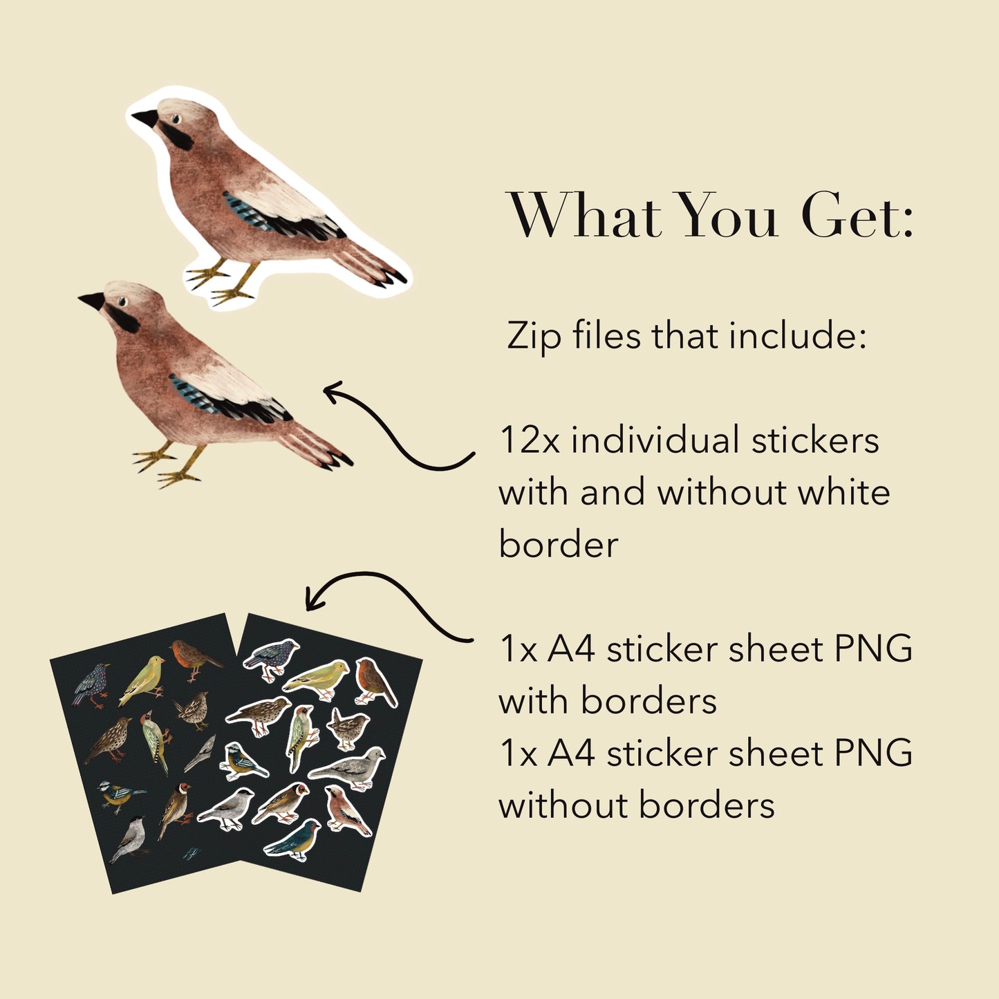 Backyard Birds Stickers PNG – Printable Sticker Sheet & Clipart Pack, Cozy Hand-Drawn Digital Download for Planners, Bujo, Scrapbooking