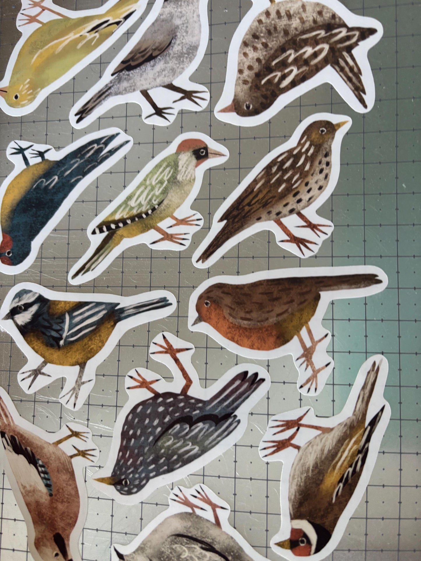 Backyard Bird Die Cut Stickers Vol. 1 | Set of 6 Hand Drawn Journal and Scrapbook Stickers