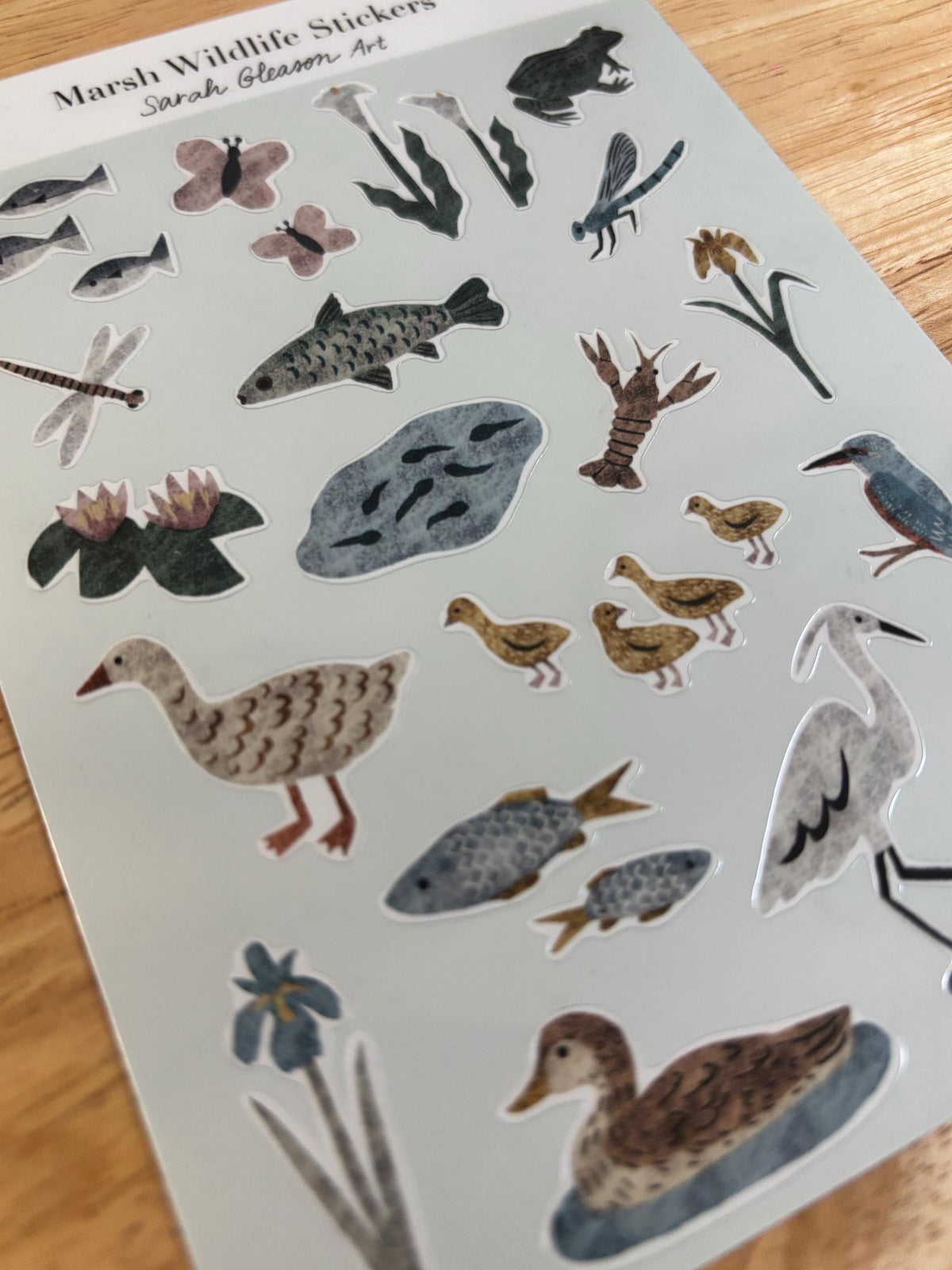 SS01 Marsh Wildlife Sticker Sheet