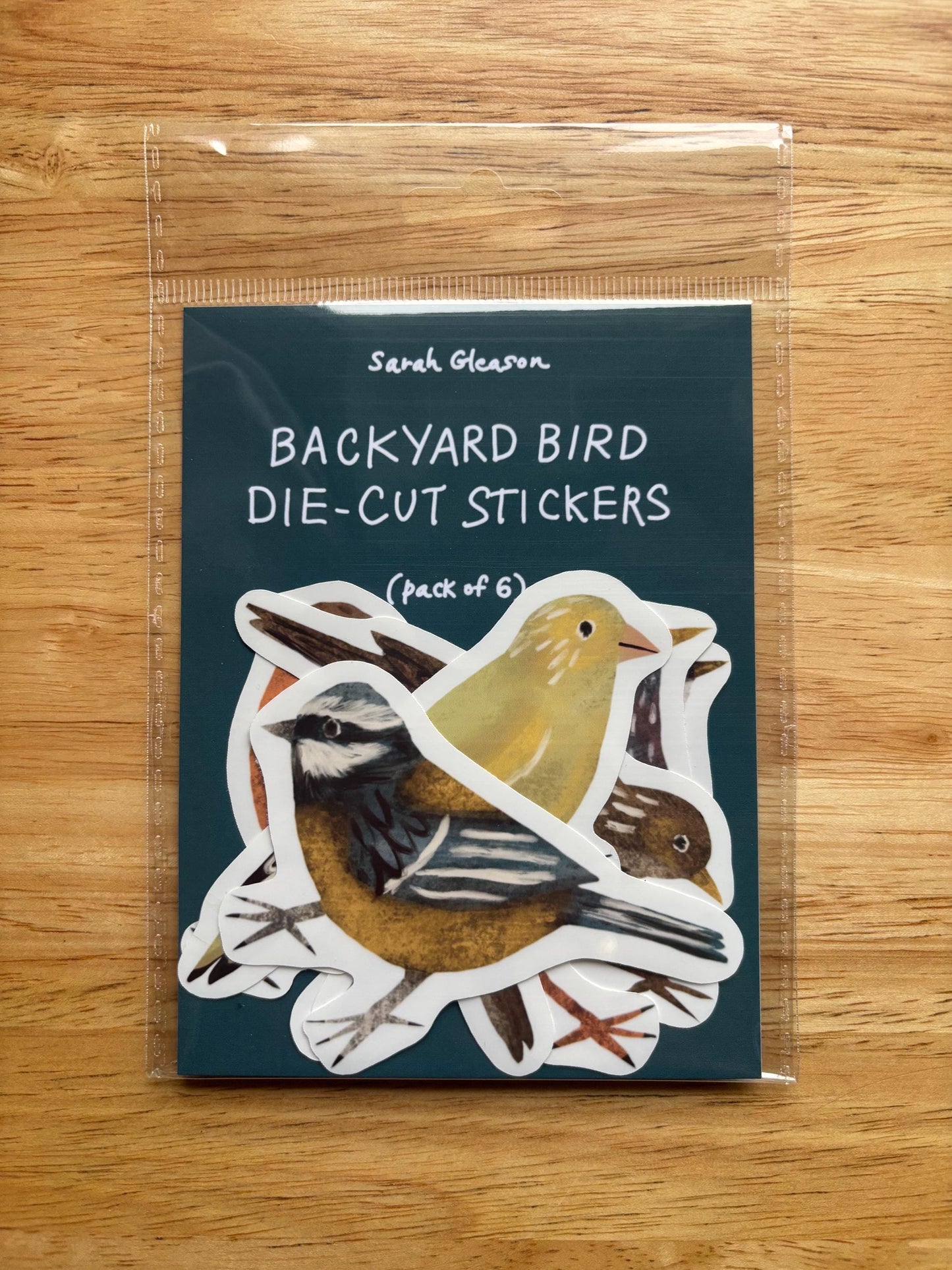 Backyard Bird Die Cut Stickers Vol. 2 | Set of 6 Hand Drawn Journal and Scrapbook Stickers