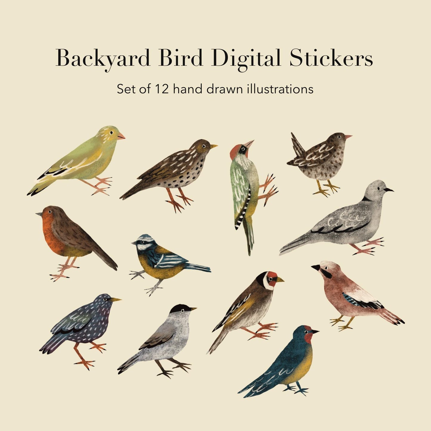 Backyard Birds Stickers PNG – Printable Sticker Sheet & Clipart Pack, Cozy Hand-Drawn Digital Download for Planners, Bujo, Scrapbooking