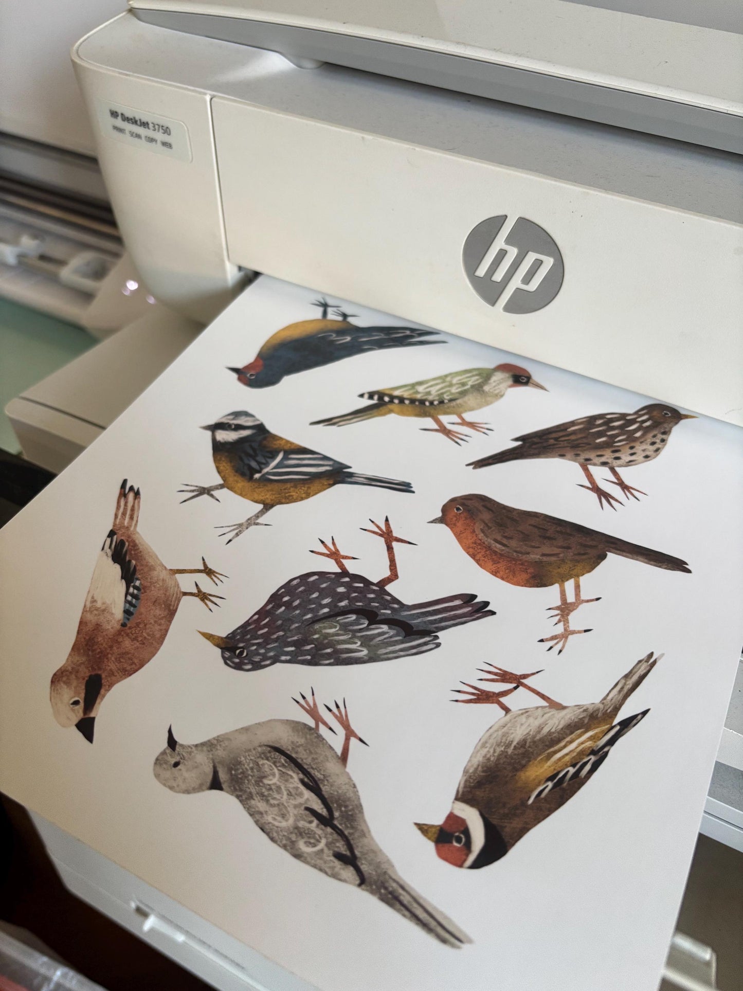 Backyard Birds Stickers PNG – Printable Sticker Sheet & Clipart Pack, Cozy Hand-Drawn Digital Download for Planners, Bujo, Scrapbooking