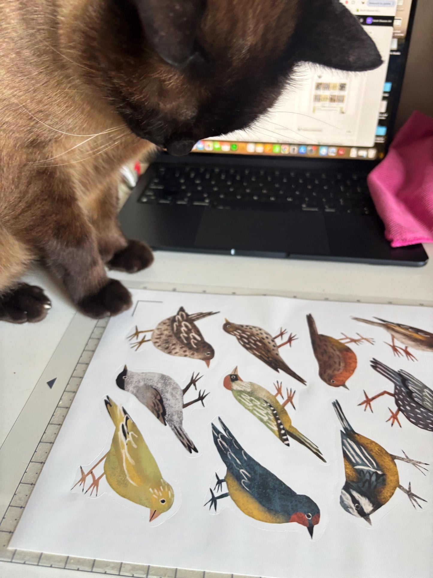 Backyard Bird Die Cut Stickers Vol. 2 | Set of 6 Hand Drawn Journal and Scrapbook Stickers