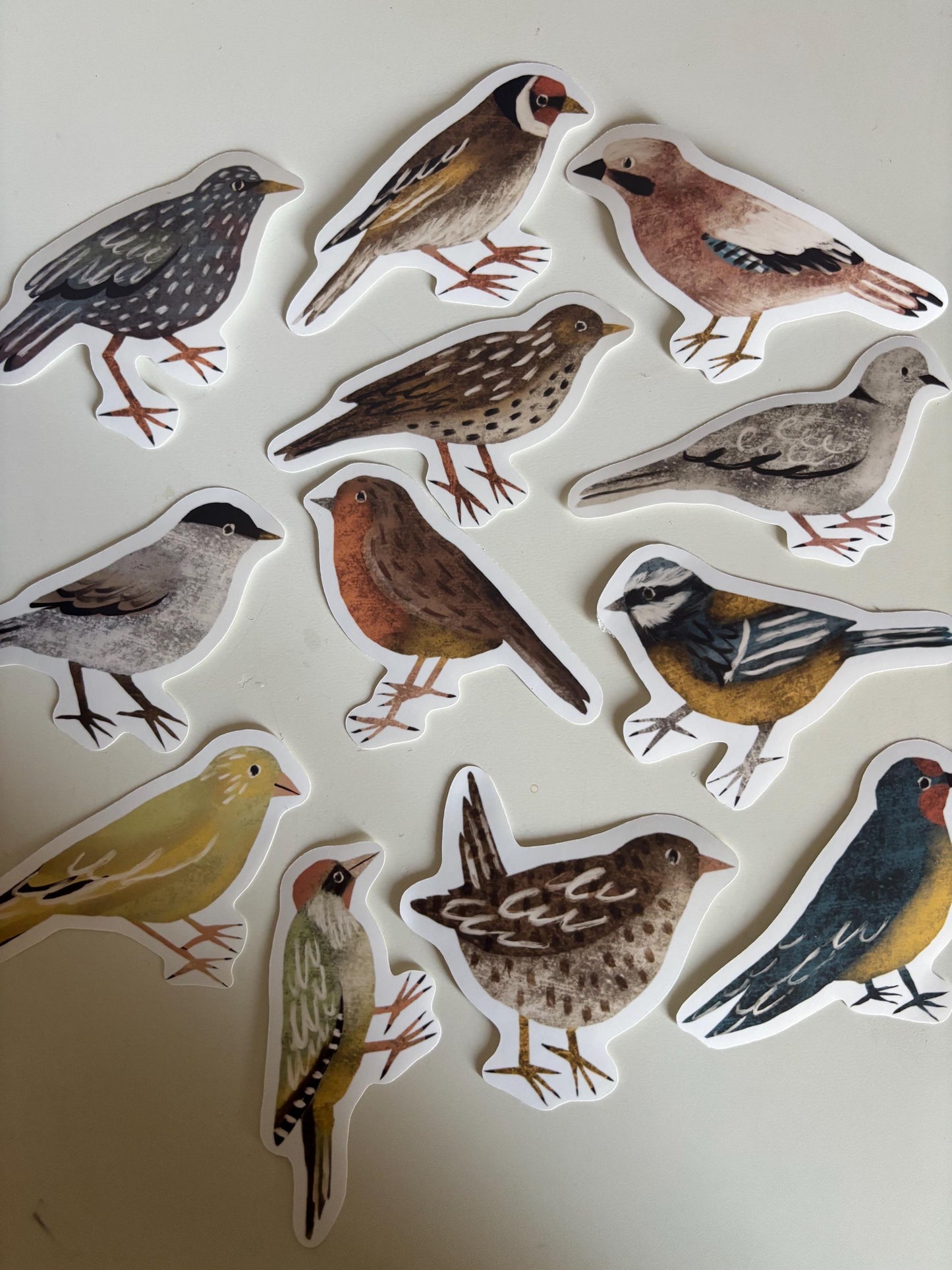 Backyard Bird Die Cut Stickers Vol. 1 | Set of 6 Hand Drawn Journal and Scrapbook Stickers