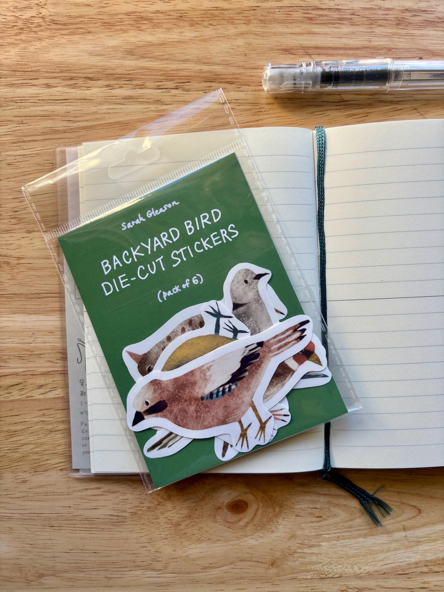 Backyard Bird Die Cut Stickers Vol. 1 | Set of 6 Hand Drawn Journal and Scrapbook Stickers